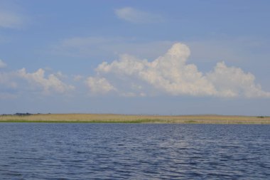 Doğa, güzellik, manzara, yapraklar, nehir, göl, su, yaz, dinlenme,