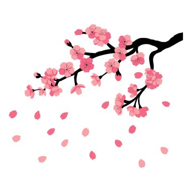 Düşen yapraklarla kiraz çiçeği dalı