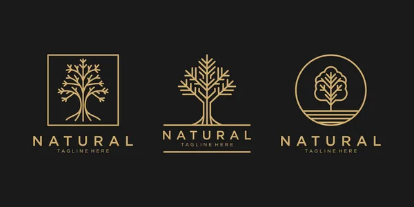 Üç minimalist ağaç logosu dizaynı
