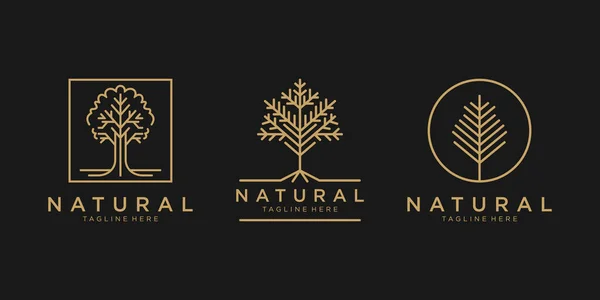 Altın çizgili doğal ağaç logosu.