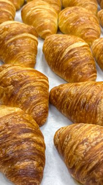 Yüksek açılı, yakın plan bir kaç sıra mükemmel altın-kahverengi, pullu mini kruvasanın beyaz kabartma kağıdının üzerinde dinlenmesi. Ilık ışıklandırma, Fransız hamur işlerinin tereyağlı dokusunu ve çıtır çıtır tabaklarını ön plana çıkarıyor..