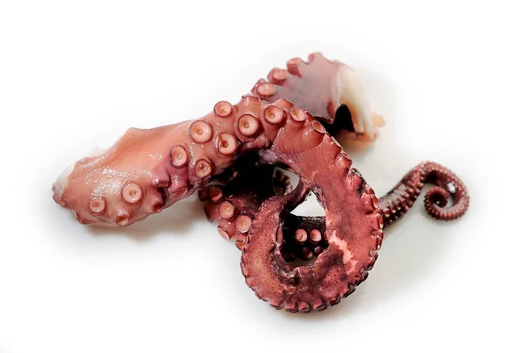 Taze ahtapot dokunaçları el değmemiş beyaz arka planda duruyor, canlı renklerini ve karmaşık dokularını sergiliyorlar, gurme yemekleri için mükemmel.