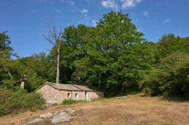 Ormanda çobanların kulübesi, Urbasa, Navarra, İspanya, Avrupa