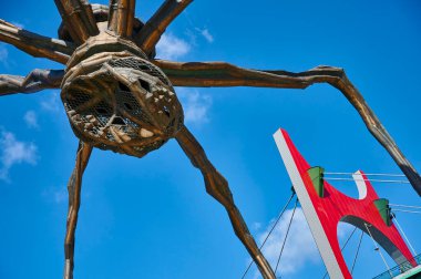 Bilbao Bilbo 'nun Çağdaş Sanatları Müzesindeki Heykel Anası