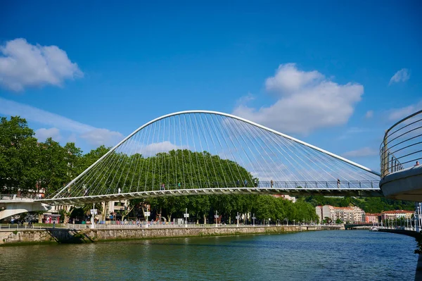 Zubizuri Köprüsü (Santiago Calatrava Köprüsü) Nervion Nehri, Bilbao, Biscay, Bask Ülkesi, Euskadi, Euskal Herria, İspanya, Avrupa
