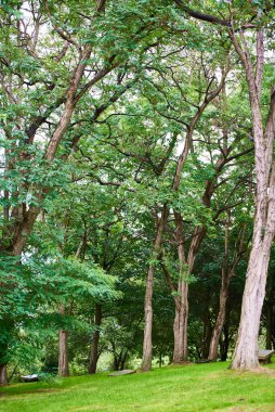 Artxanda Parkı, Bilbao, Biscay, Bask Ülkesi, Euskadi, İspanya, Avrupa