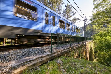 Mavi tren Bilbao 'dan Bermeo' ya