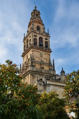 Patio de los Naranjos, Cordoba Katedrali 'ndeki Portakal Ağacı Avlusu