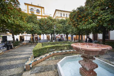 Seville, Endülüs, İspanya ve Avrupa 'daki Plaza de Doa Elvira manzarası