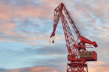 Bilbao 'da Şafak vakti Bilbao' da Carola adında çok ünlü bir turna. Biscay, Bask Ülkesi, Euskadi, Euskal Herria, İspanya, Avrupa