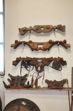 Tarım için antik boyunduruklar öküzleri çekmek için kullanılıyor