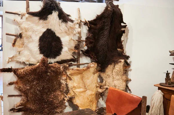 Artziniega, Alava, Bask Ülkesi, Euskadi, Euskal Herria, İspanya, Avrupa Etnoğrafya Müzesi 'nde sergilenen farklı hayvan derisi türleri