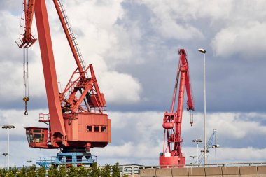 Bilbao Limanı, Biscay, Bask Ülkesi, Euskadi, İspanya, Avrupa 'da kırmızı turnalar,