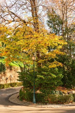 Granada, Endülüs, İspanya, Avrupa