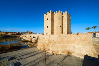 Torre de Calahorra, Calahorra Kulesi Güneşli Gün, Cordoba, Endülüs, İspanya, Avrupa