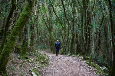 Ormanda yürüyen orta yaşlı kadın, Santona, Cantabria, İspanya, Avrupa.