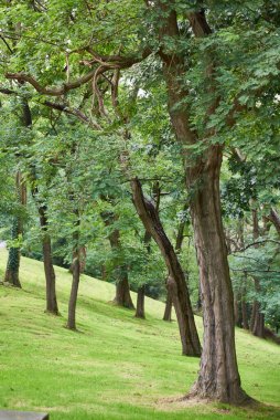 Artxanda Parkı, Bilbao, Biscay, Bask Ülkesi, Euskadi, İspanya, Avrupa.