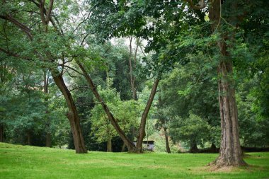 Artxanda Parkı, Bilbao, Biscay, Bask Ülkesi, Euskadi, İspanya, Avrupa.