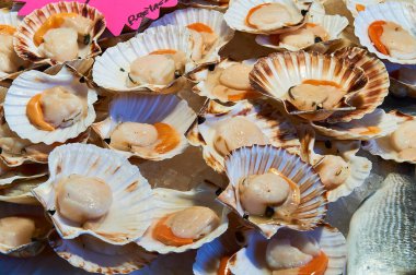 Rialto, Venedik pazarında deniz tarakları (Pecten maximus)