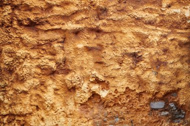 Kahverengi kaba görünüşün ayrıntıları