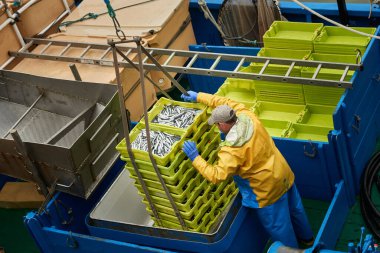 Balıkçı, son zamanlarda çalışan bir tekne güvertesinde yakaladığı taze balıkların istiflenmiş sandıklarıyla, balıkçılık endüstrisini gözler önüne seriyor. Santona, cantabria