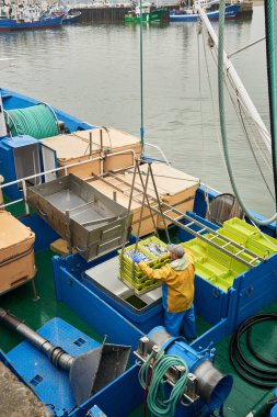Tekne güvertesinde çalışan balıkçı balıkçılık operasyonları sırasında limanda tutulan taze balıklarla dolu sandıkları naklediyor. Santona, cantabria