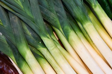 Taze pırasalar canlı yeşil üstlerini ve beyaz yenilebilir saplarını sergiliyor, pişirmeye ve sağlıklı beslenmeye hazır.