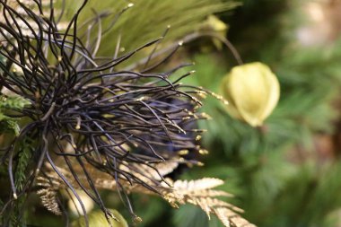 Kameranın önüne bir şenlik süsü konuyor ve arka planda Noel ağaçları bulanıklaşıyor. Sığ alan derinliği, asıl konu olarak süsü vurguluyor. Bu kurulum sıcak, tatil odaklı bir kompozisyon oluşturur.