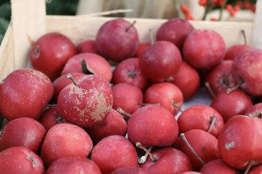 Parlak kırmızı elmalar temiz bir arka plana karşı beyaz tahta bir kutuda düzenlenir. Basit kompozisyon tazeliği ve renk kontrastını vurgular. Bu görüntü gıda, yaşam tarzı ve mevsimsel tasarım kullanımı için uygundur..