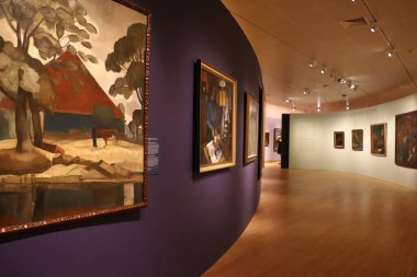 Geniş açıdan bakıldığında, Alkmaar müzesindeki bir galeri duvarı boyunca sergilenen birden fazla resim görülüyor. Sergi dengeli ve sürükleyici bir görsel deneyim yaratıyor. Bu resim bir müze ortamında sergilenen sanat eserlerini temsil ediyor..