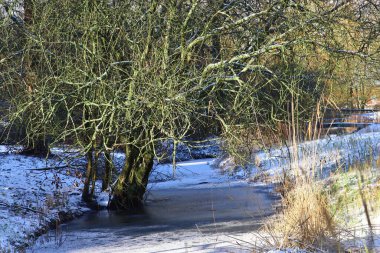 Orman nehri donmuş bir arazide akıyor ve her iki kıyıda da ağaçlar var. Soğuk, durgun atmosfer, kış ormanlarına hakim..
