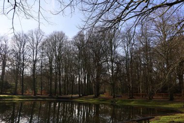 Mavi gökyüzü, parlak yeşil çimenler ve manzarayı çerçeveleyen koyu renk ağaçlarla dolu bir park manzarası..
