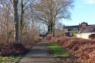 Güneşli bir günde Tholen 'deki şehir parkı