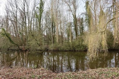 Orman göleti sık ağaçlarla çevrili. Sakin bir doğal atmosfer yaratıyor. Durgun sudaki yeşilliği yansıtan sakin bir manzara..