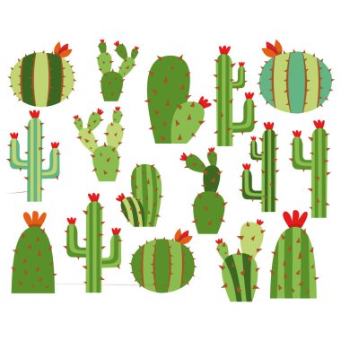 Kaktüs ve çiçek seti