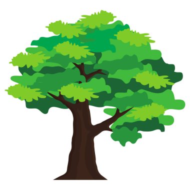 Beyaz arkaplanda vektör yeşil ağaç