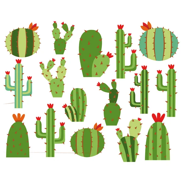 Kaktüs ve çiçek seti