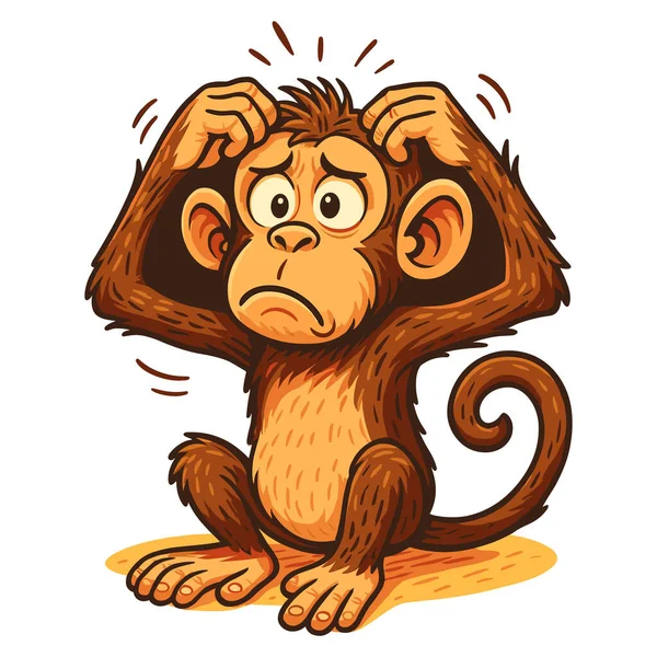 Beyaz arkaplanda bir maymunun resmi