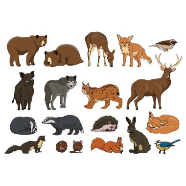 Vahşi hayvan koleksiyonu.