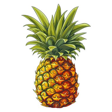 Beyaz arka plan üzerinde illüstrasyon izole ananas