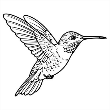 Siyah arka planı olan bir kuş. vektör illüstrasyonu.