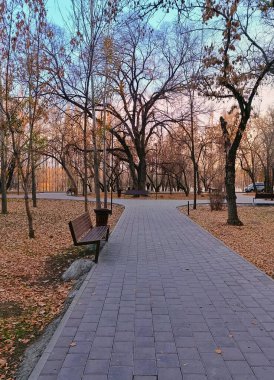Sonbaharda ağaçların arasında park yolu ve bir bankla düşen yapraklar. Fotoğraf sonbahar atmosferini, doğayı ve açık hava rahatlığını aktarıyor..