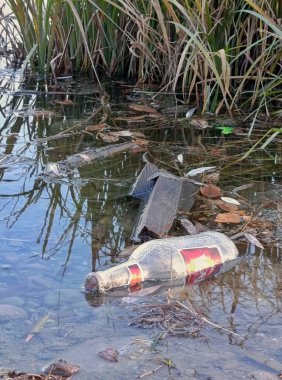 Yeşil kamışların arasında gölde yüzen mantarlı cam şişe. Fotoğraf, doğanın atmosferini, sükuneti ve sudaki gizemi aktarıyor..