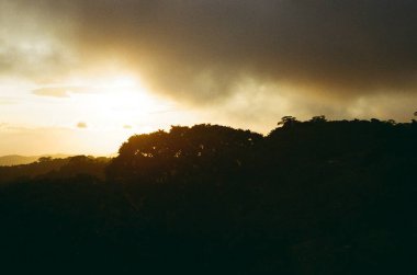 Kosta Rika kırsal güzelliğinde nostaljik bir analog film yolculuğu: gür ormanlar, kırsal evler ve sakin manzaralar, tropikal doğanın ve kırsal yaşamın ebedi cazibesini yakalıyor.