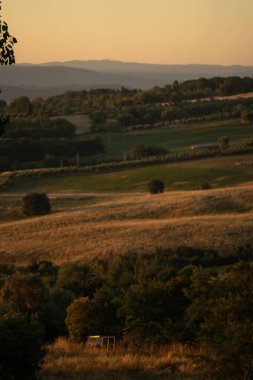 Güneş batarken altın sarısı tarlalar, ılık battaniyeler saman balyaları ve uzak meşeler, yumuşak yamaçlar ve panoramik