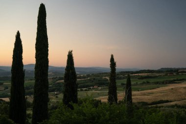 Yuvarlanan vadi ve tarlaları dramatik dikey çizgiler ve sıcak günbatımıyla süsleyen selvi siluetleri.