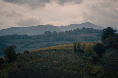 Alacakaranlıkta dingin üzüm bağları, engin teraslı tarlalara ışık saçıyor, sessiz günbatımı banyoları yavaşça eğimli üzüm bağları ve kırsal teraslar ılık, pırıl pırıl parlıyor.