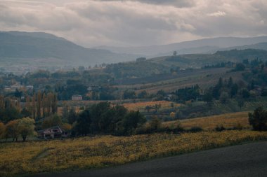 Uçsuz bucaksız üzüm bağları vadisi yuvarlanan tepeler, ev kümeleri ve sessiz sonbahar yaprakları, uzak katmanlı dağlar, sakin kırsal atmosfer ve dokulu asma sıraları ile süslenmiştir.