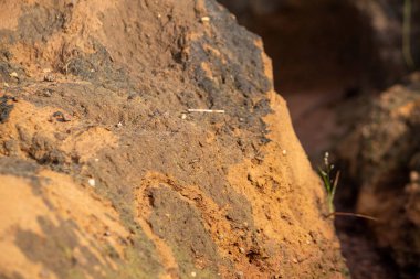 Sıcak doğal ışık altında kayalık yüzeyin yakın görüntüsü toprak, taş ve erozyon kalıplarının detaylarını vurguluyor. Bulanık arka plan derinlik yaratır ve engebeli toprak oluşumunu vurgular..