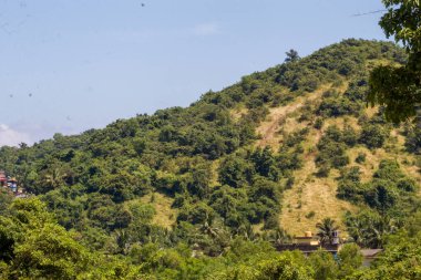 Hindistan 'ın kırsal kesimlerinde parlak bulutlu gökyüzünün altında katmanlı dağları olan yemyeşil tropikal tepeler ve palmiye ağaçları..